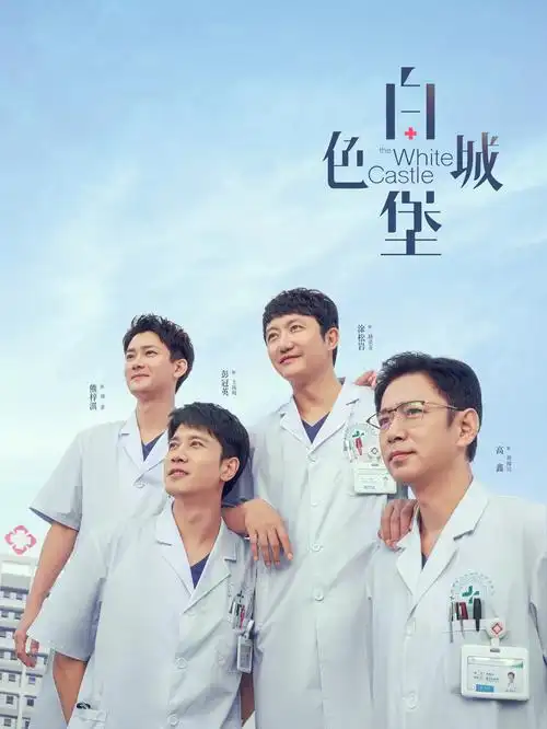 寂静的证词刑侦剧手机免费在线观看